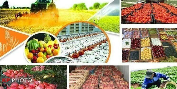 گردش مالی بخش کشاورزی آذربایجان غربی ۹۰ هزار میلیارد تومان است