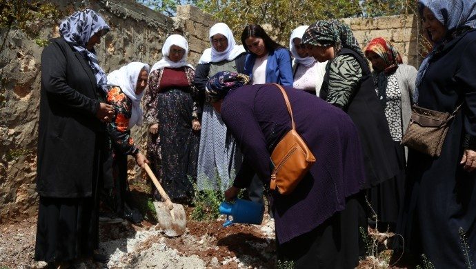 جمعیت مادران صلح به مناسبت تولد اوجالان یک نهال کاشتند