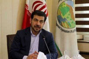 ایجاد دو پارک جنگلی بزرگ بین ایران و عراق