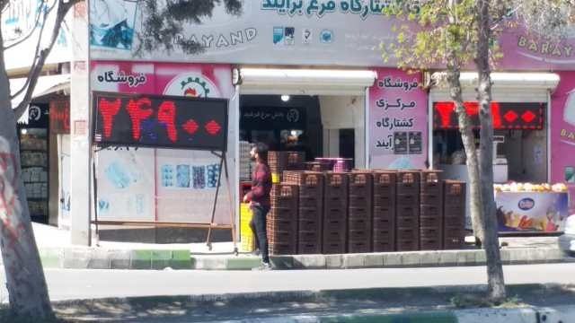 فروش گوشت مرغ پایین تر از قیمت مصوب تنظیم بازار