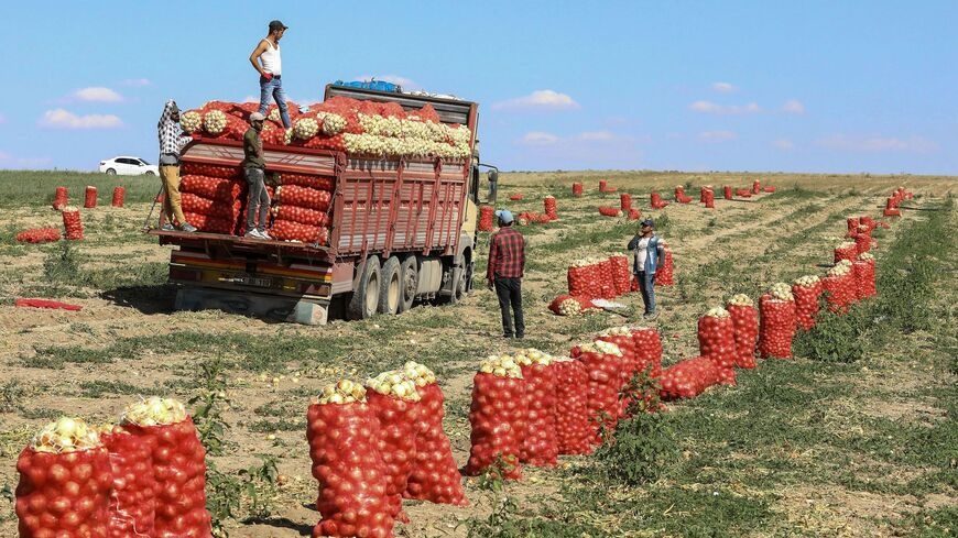 Turkey’s farmers call for urgent support as food alarm grows / Sibel Hurtas