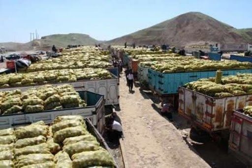 صادرات سیب زمینی، گوجه و پیاز ممنوع شد