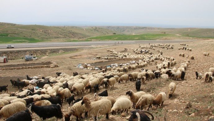 نظامیان ترکیه جلوی کوچ عشایر کرد در روستاهای مرزی را گرفتند و آنها را جریمه کردند