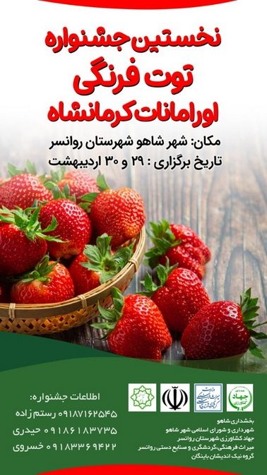 شهر شاهو میزبان نخستین جشنواره توت فرنگی در هورامان