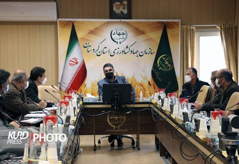 فعالیت 2934 واحد صنعتی و نیمه صنعتی دامداری در کردستان