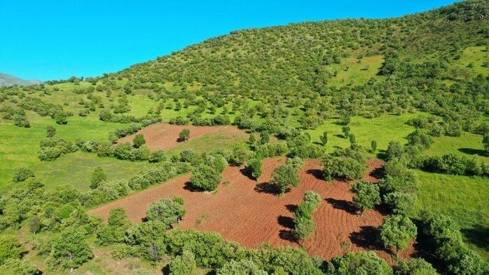 بازگرداندن ۷۶۵ هکتار از اراضی ملی و منابع طبیعی کرمانشاه