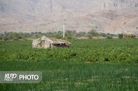 اجرای طرح بهکاشت در ۹ شهرستان واقع در حوضه آبریز دریاچه ارومیه