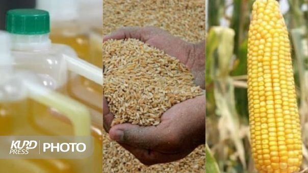 پاتکِ فعال  به جنگ جهانی غذا / منصور اولی