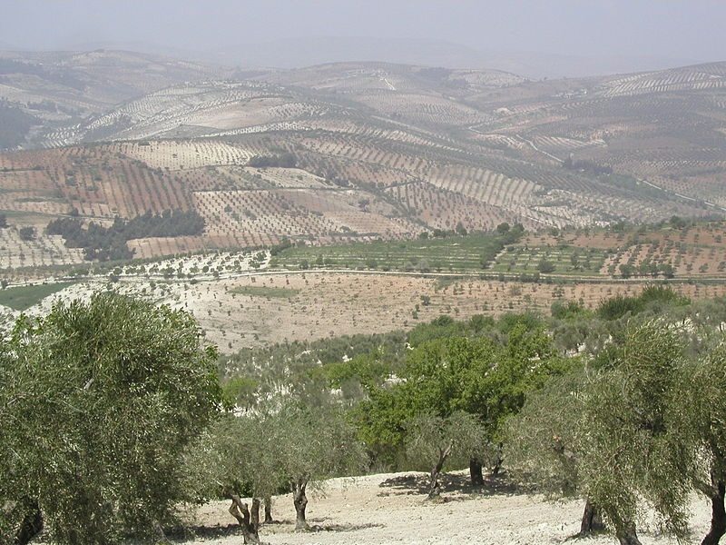 Turkish forces shell villages in northern Syria