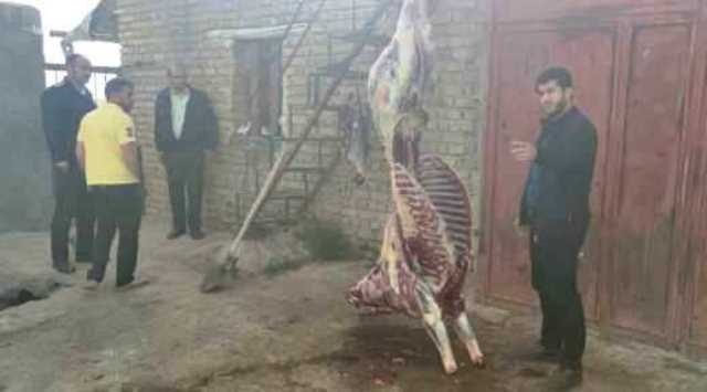 کشف و ضبط لاشه اسب کشتار شده در قروه