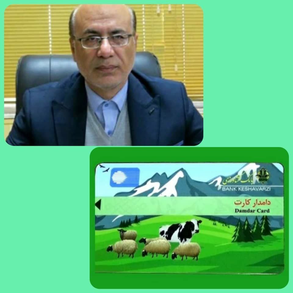صدور دامدار کارت در استان ایلام آغاز شد