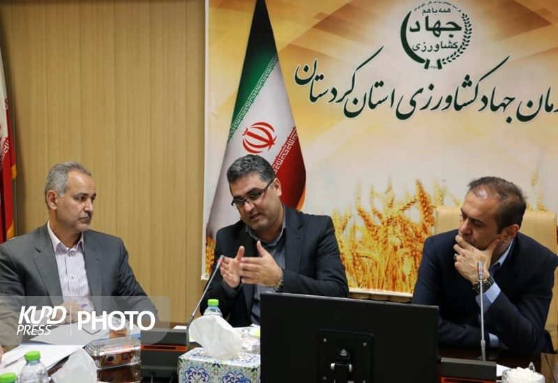 تنها 11.2 درصد اراضی کشاورزری کردستان آبی است