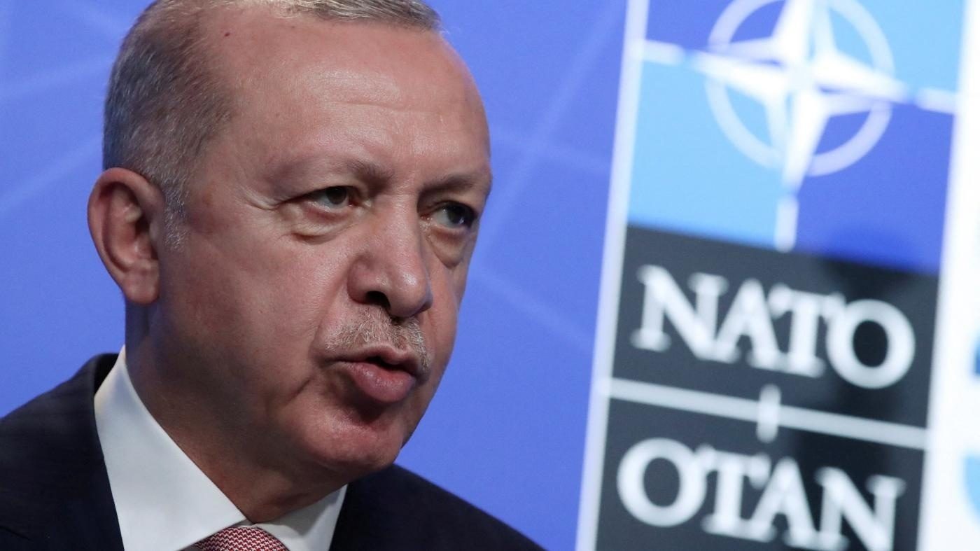تهدید اردوغان علیه کردهای سوریه باج خواهی از ناتو است