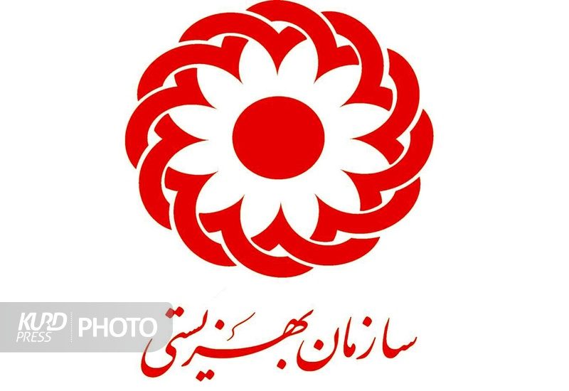 1500 زن سرپرست خانوار کردستانی زیر پوشش طرح پیشگیری از معلولیت قرار گرفتند