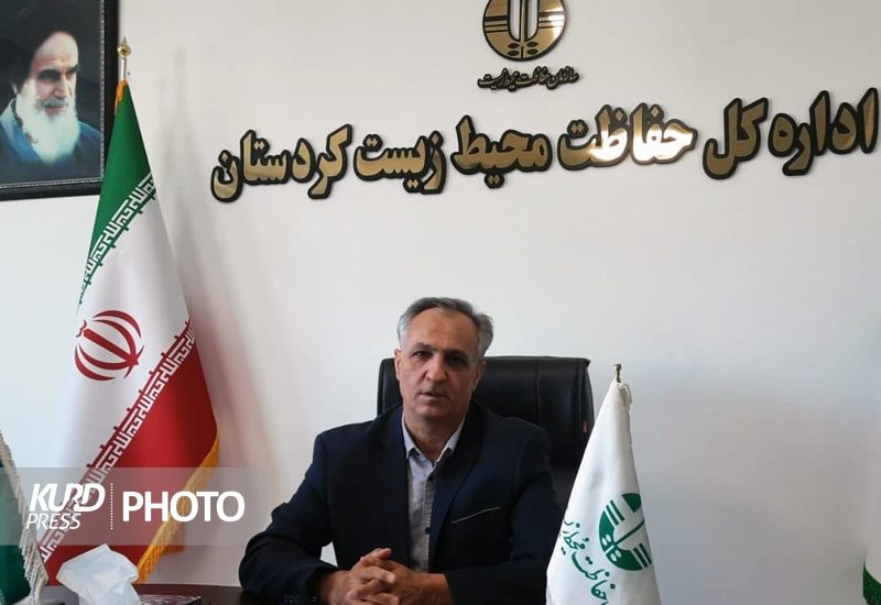 تبدیل تالاب «چاردولی» قروه به کانون گرد و غبار/ زریوار در آستانه نابودی