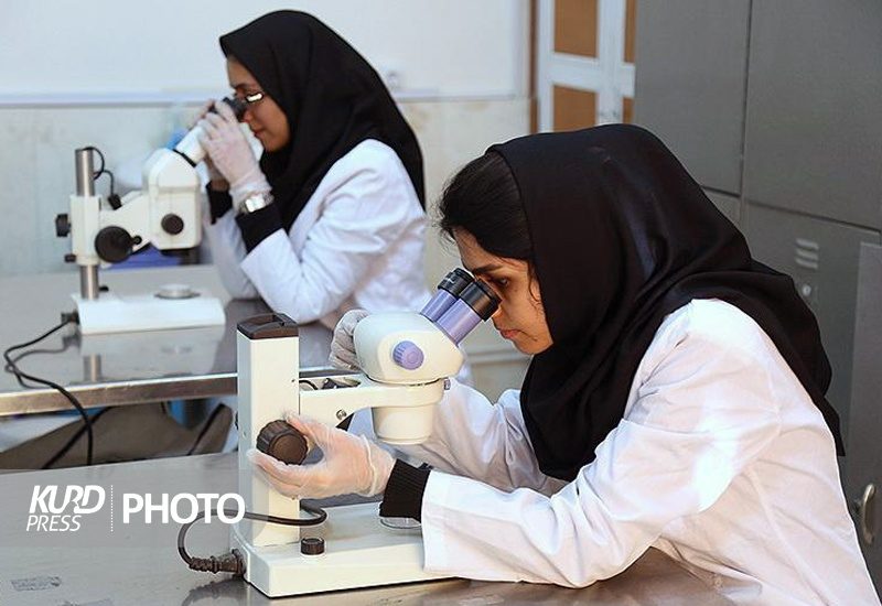 90 درصد هزینه درمان زوج های نابارور در کردستان توسط بیمه سلامت پرداخت می شود