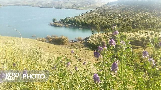 ٣٠ هزار نفر از جاذبه های گردشگری مهاباد دیدن کردند/ دریاچه سد بیشترین بازدید را ثبت کرد