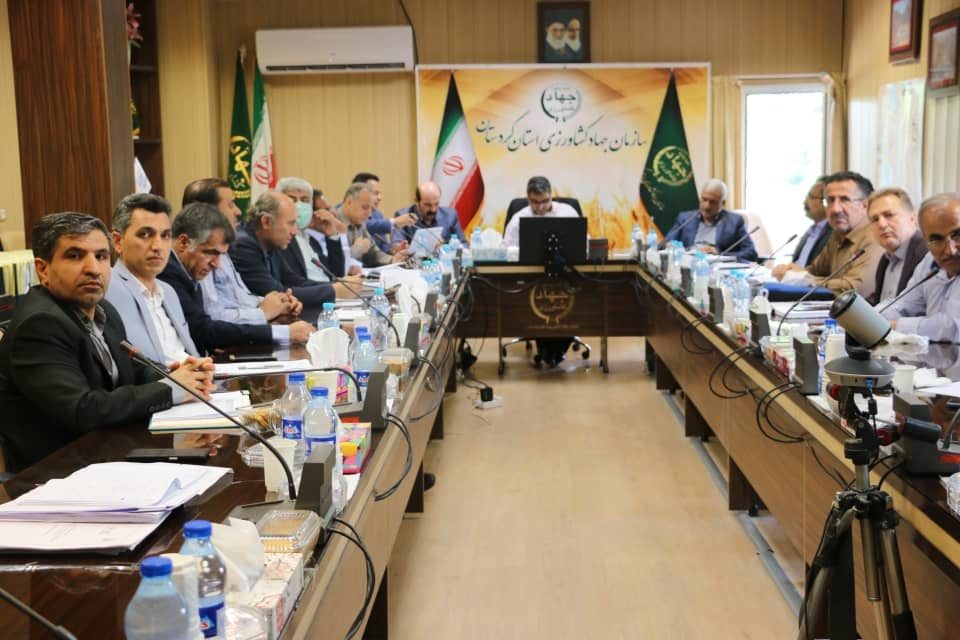 پایداری تولید در دیمزارها با حمایت از کشاورزی دانش بنیان محقق می شود