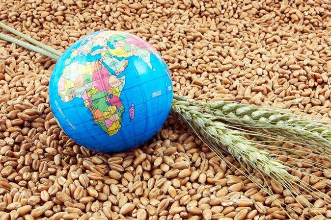 به مناسبت روز جهانی امنیت غذایی / دکتر برهان ولدبیگی