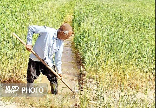 ضرورت بازنگری در تصمیمات ستاد احیای دریاچه ارومیه و کاهش حق آبه کشاورزی