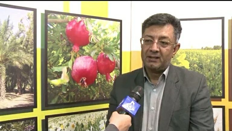 پرداخت خسارت خشکسالی به کشاورزان بیمه شده ایلام