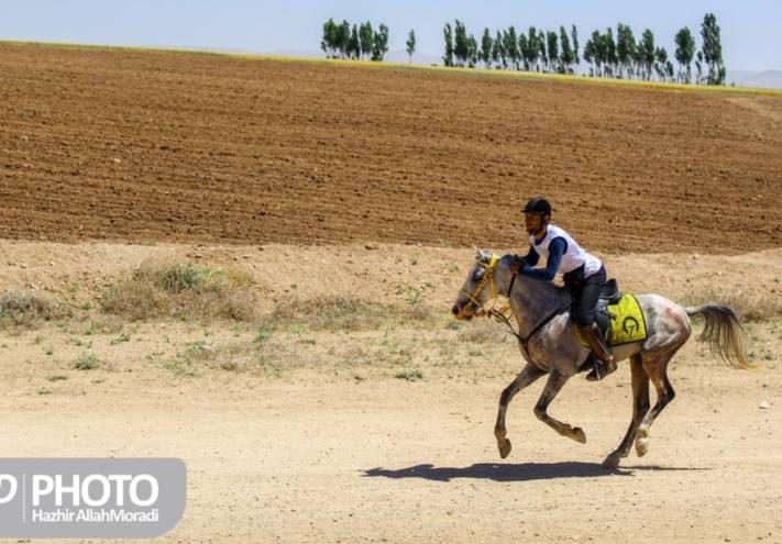 لیگ کشوری اسب سواری جام سیلمی جمیل کردستان / هژیر الله مرادی