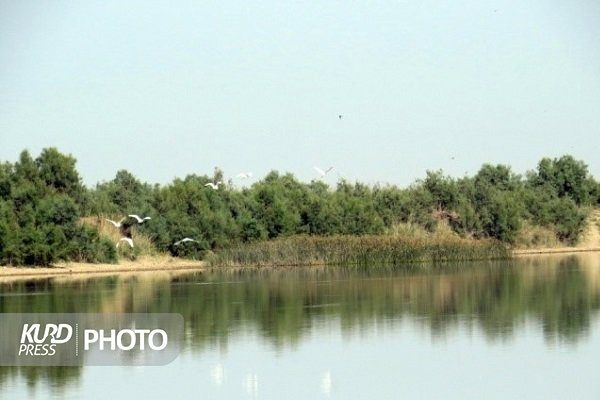 ١٣٠میلیون تومان به احیای تالاب های ماکو اختصاص یافت