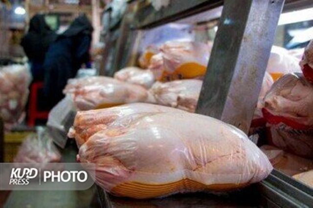 گوشت مرغ کمیاب می شود؟