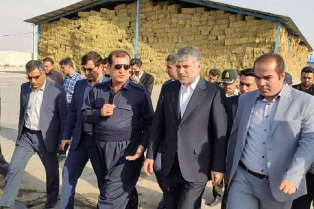 کرمانشاه یکی از قطب های کشاورزی ایران است