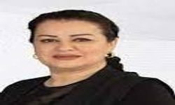 راه حل های دیپلماتیک بهترین راه حل ها  برای پایان دادن به تجاوزات ترکیه به خاک  عراق است