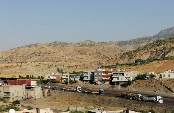 سربازان ترکیه حتی یک درخت در بستا باقی نگذاشتند
