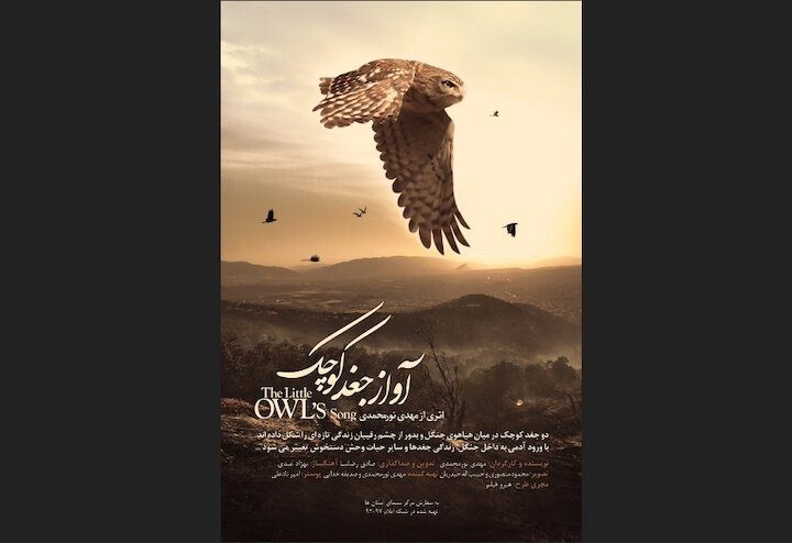 «آواز جغد کوچک» در بخش مسابقه محبوب ترین جشنواره حیات وحش اروپا