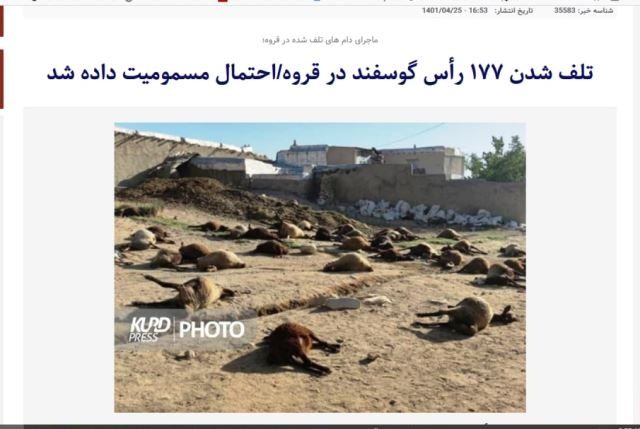 عوامل مسموم کردن دام ها در مشیرآباد شناسایی شوند