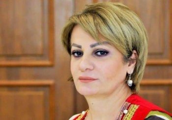 قدردانی رئیس فراکسیون جنبش نسل نو در مجلس عراق  ازتلاشهای پلاسخارت برای تقویت دمکراسی درعراق