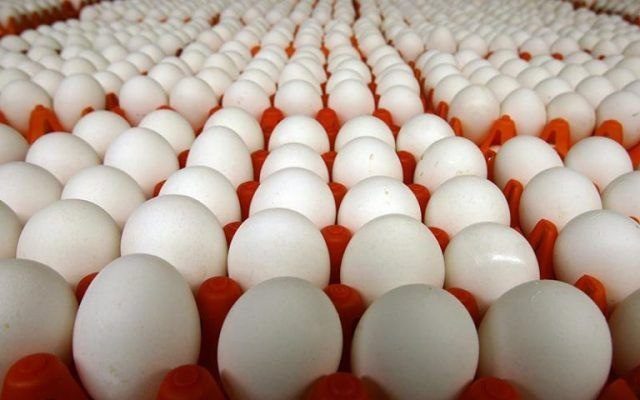 کشف بیش از 31 هزار تخم مرغ غیربهداشتی در کنگاور
