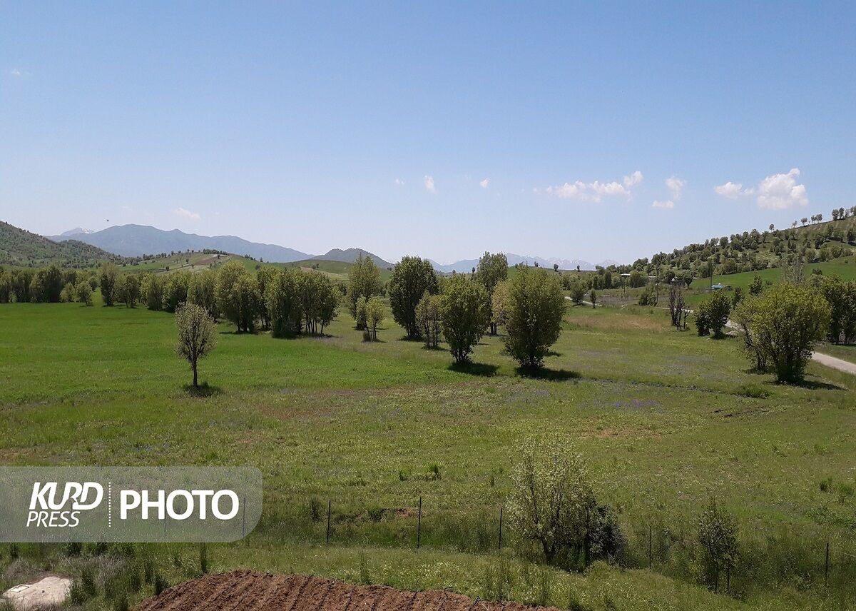 رفع اختلاف ٢ روستا با ورود دادستان های مهاباد و نقده