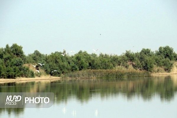 رهاسازی ٨ میلیون مترمکعب آب به تالاب‌های  بین المللی مهاباد طی سال جاری
