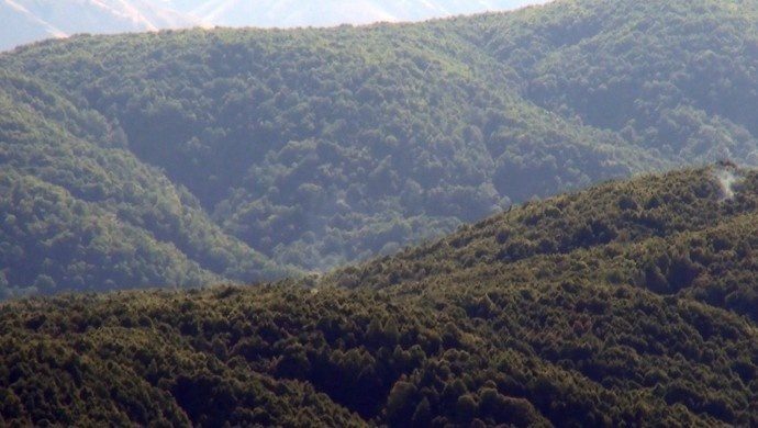 درگیری شدید در حومه شن یایلا- دیاربکر