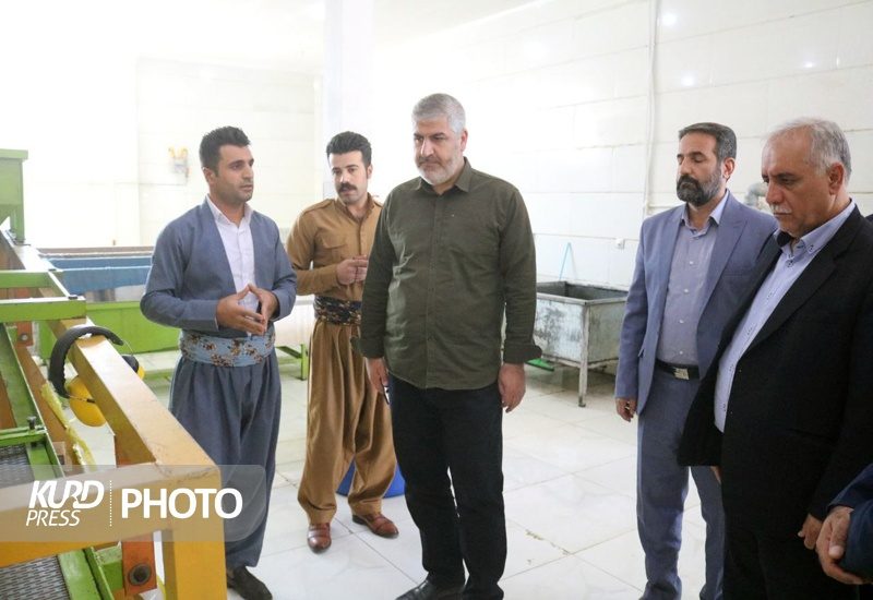 کارگاه تولید و بسته بندی خشکبار در مریوان افتتاح شد
