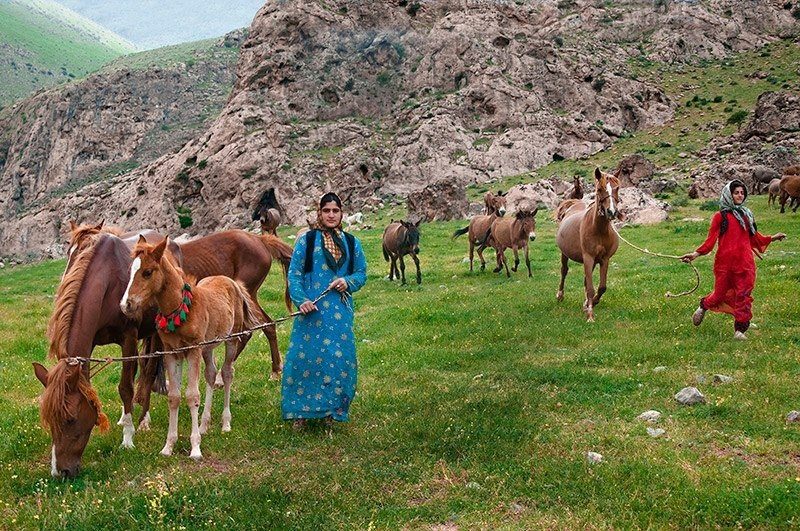 آمار عشایر کرمانشاه باید راستی آزمایی شود