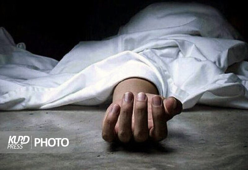جزئیاتی از ماجرای خودکشی «هستی حسین پناهی» دانش آموز دهگلانی