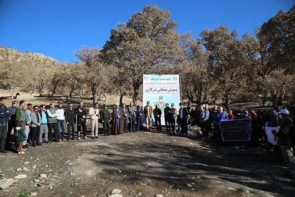 بذرکاری و حفاظت همچنان تنها راه احیای جنگلهای بلوط ایلام