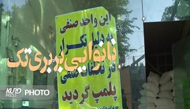 ١٥ واحد نانوایی متخلف در ارومیه پلمب شدند
