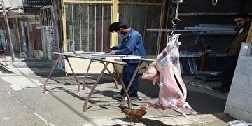 مبارزه با کشتار غیرمجاز در ایلام تنها وظیفه یک دستگاه نیست