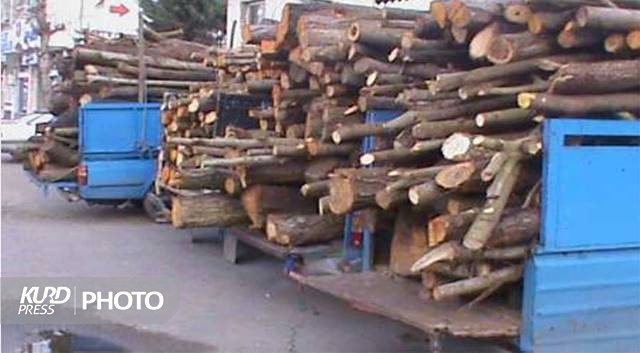 کشف ٣٣ تن چوب قاچاق در مهاباد