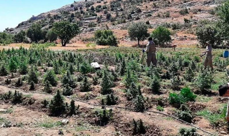 آغاز عملیات نظامی جدید در دیاربکر