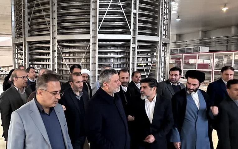 دنیش نان؛  پس از ۶ سال رکود به چرخه تولید بازگشت