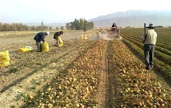 طرح اصلاح الگوی کشت، نیازمند فرهنگ سازی است