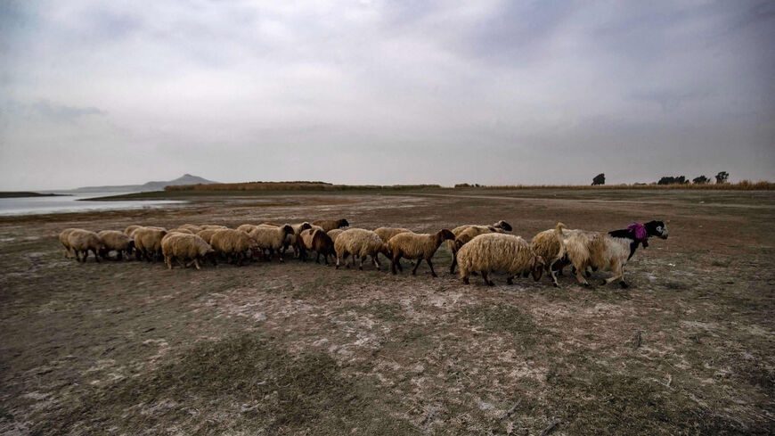 Double blow: Syria braces for historic drought after earthquake