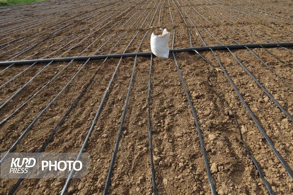 طرح‌های آبیاری نوین در مهاباد ناقص و بدون متولی مانده اند!